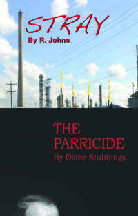 Stray and The Parricide