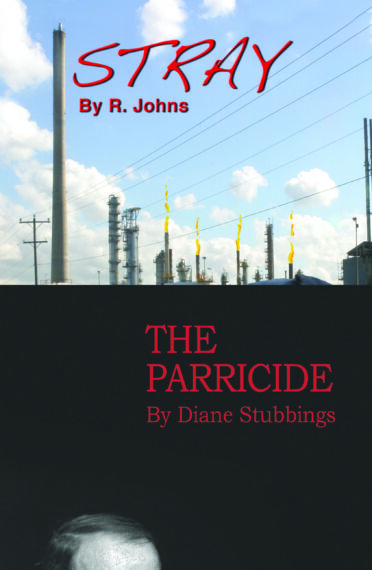 Stray and The Parricide